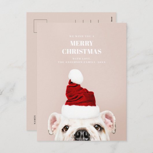 メリークリスマス.かわいい犬。アニマルサンタクロース シーズンポストカード (正面/裏面)