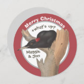 メリークリスマス+どうした?Woodpecker CC1043カード (正面/裏面)