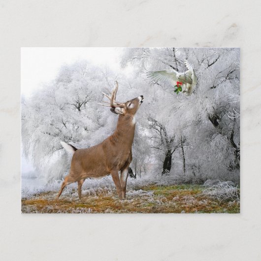 「メリークリスマス」のはがき ポストカード (正面)