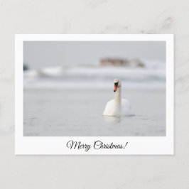 メリークリスマス！はがき ポストカード