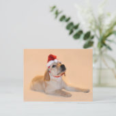 メリークリスマス-イエロー・ラブラドール・レトリーバー シーズンポストカード (スタンド正面)