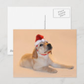 メリークリスマス-イエロー・ラブラドール・レトリーバー シーズンポストカード (正面/裏面)