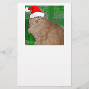 メリークリスマス オレンジタビー子猫 便箋