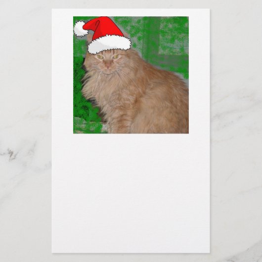 メリークリスマス オレンジタビー子猫 便箋 (正面)