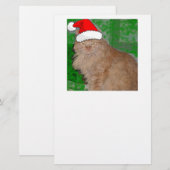 メリークリスマス オレンジタビー子猫 便箋 (正面/裏面)