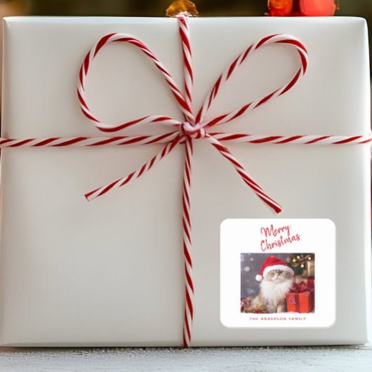 メリークリスマス オーダーメイド 猫 写真 ホリデー スクエアシール