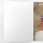 「メリークリスマス」カーディナル付きカード 三つ折りクリスマスカード (内部最初)