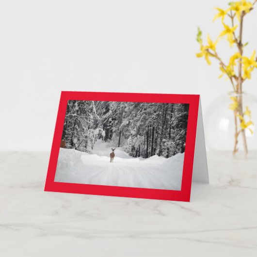 メリークリスマス カード (黄色い花)