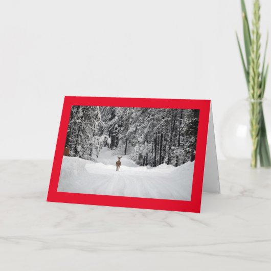 メリークリスマス カード (正面)