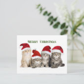 メリークリスマス・キャッツ シーズンポストカード (スタンド正面)