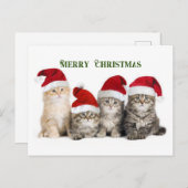 メリークリスマス・キャッツ シーズンポストカード (正面/裏面)