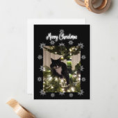 メリークリスマス。クリスマスツリーの上にタキシー猫。 ノートカード (正面/裏面インサイチュ)