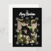 メリークリスマス。クリスマスツリーの上にタキシー猫。 ノートカード (正面/裏面)