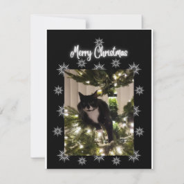 メリークリスマス。クリスマスツリーの上にタキシー猫。  ノートカード