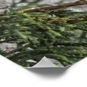 メリークリスマス.クロード・モネ・ポスター ポスター (角)