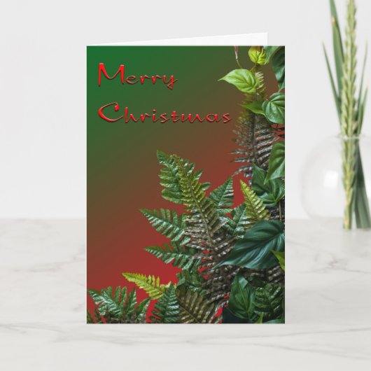 メリークリスマス シーズンカード (正面)