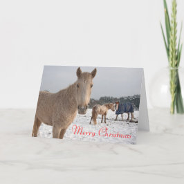 メリークリスマス シーズンカード