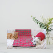 メリークリスマス シーズンカード (スタンド正面)