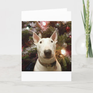 メリークリスマス シーズンカード