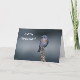 メリークリスマス! シーズンカード