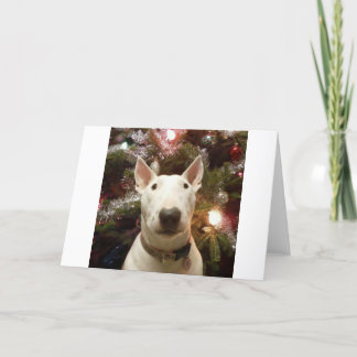 メリークリスマス シーズンカード