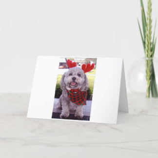 メリークリスマス シーズンカード