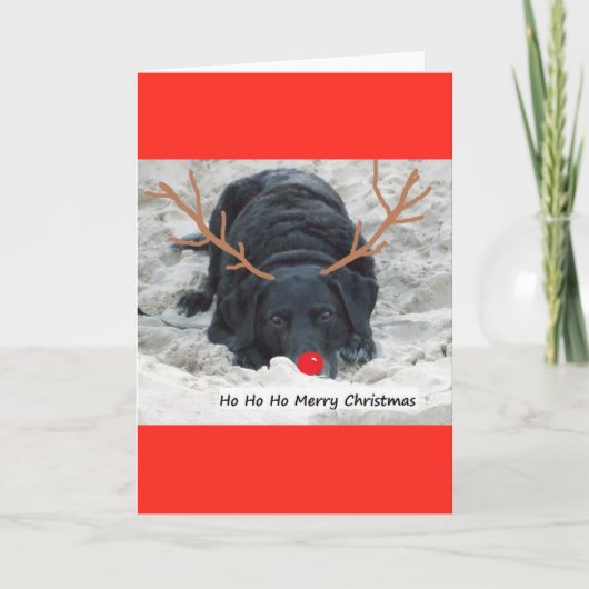 メリークリスマス シーズンカード (正面)