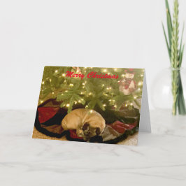 メリークリスマス シーズンカード