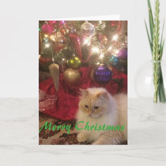 メリークリスマス シーズンカード (正面)