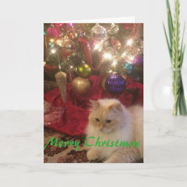 メリークリスマス シーズンカード