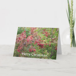 メリークリスマス シーズンカード