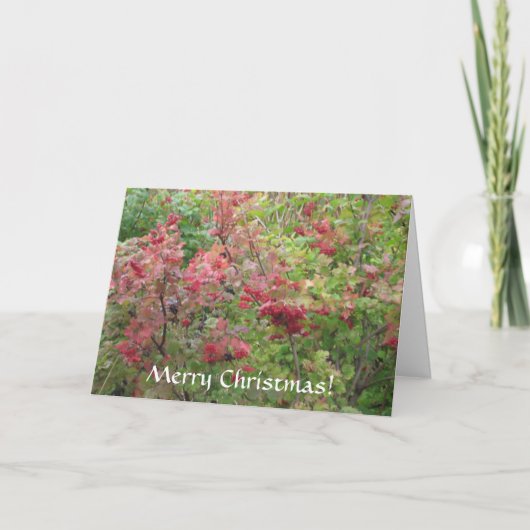 メリークリスマス シーズンカード (正面)