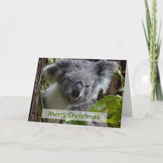 メリークリスマス シーズンカード (正面)