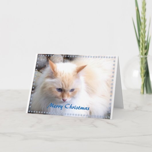 メリークリスマス シーズンカード (正面)