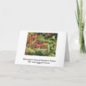 メリークリスマス シーズンカード (裏面)