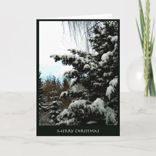 メリークリスマス シーズンカード (正面)