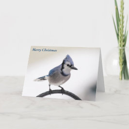 メリークリスマス シーズンカード