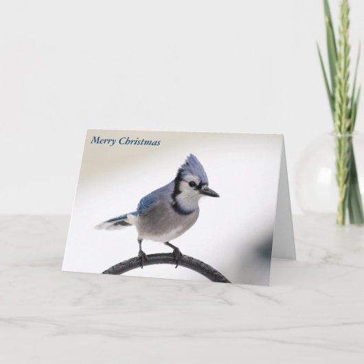 メリークリスマス シーズンカード (正面)