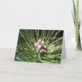 メリークリスマス… シーズンカード (裏面)