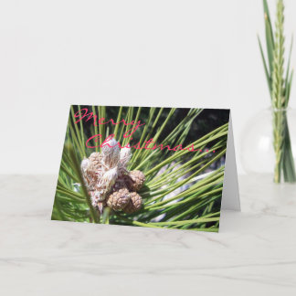 メリークリスマス… シーズンカード