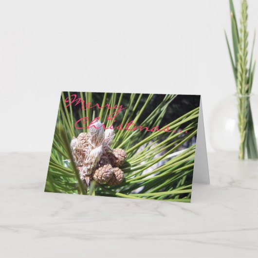 メリークリスマス… シーズンカード (正面)