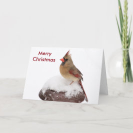 メリークリスマス シーズンカード