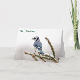 メリークリスマス シーズンカード