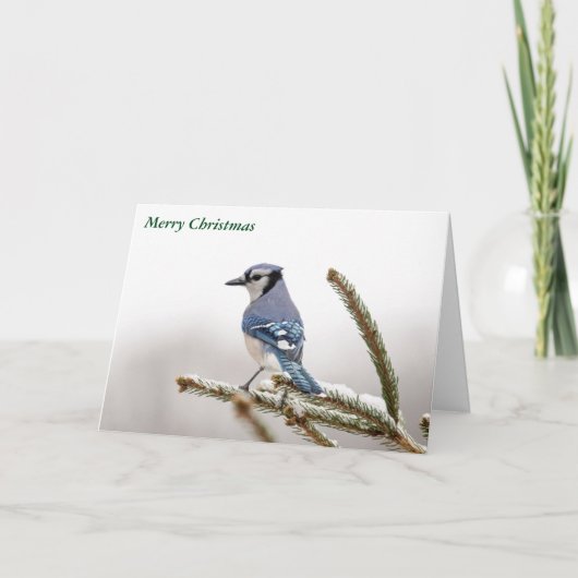 メリークリスマス シーズンカード (正面)