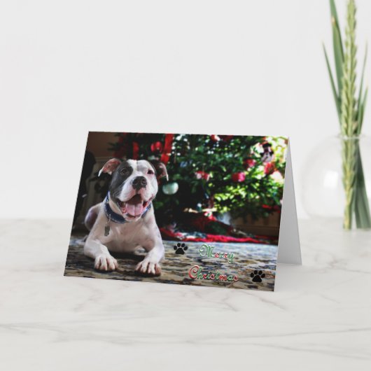 メリークリスマス シーズンカード (正面)