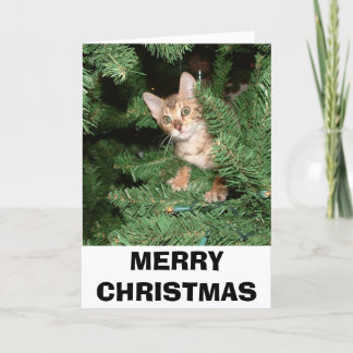 メリークリスマス シーズンカード