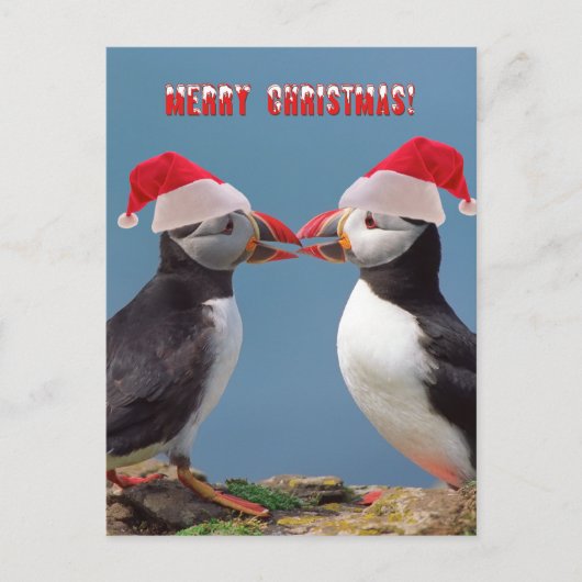 メリークリスマス シーズンポストカード (正面)