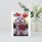 メリークリスマス シーズンポストカード (スタンド正面)