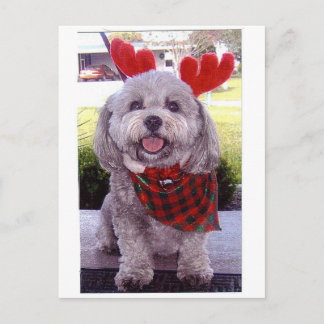 メリークリスマス シーズンポストカード