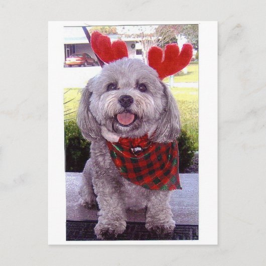 メリークリスマス シーズンポストカード (正面)